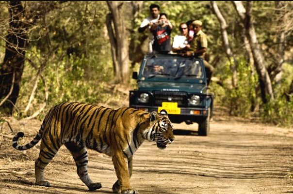 Jim Corbett